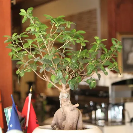 2 Kitarrat Boutique & 4*