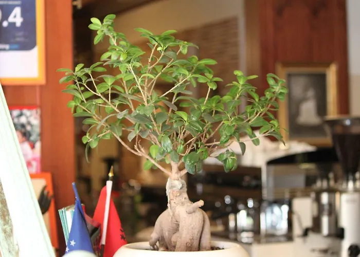 2 Kitarrat Boutique & 4*